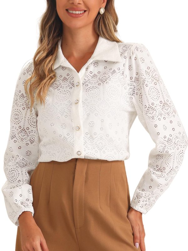 Women's Elegant Eyelet Top Casual Work Long Sleeve Hallow Out Lace Sheer Button Down Shirt