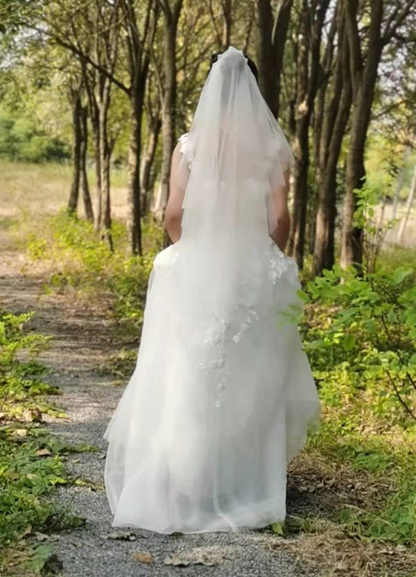 Lace Train Wedding Dress for Bride Aline Applique Bride Dress Long Tulle Off Shoulder Strapless