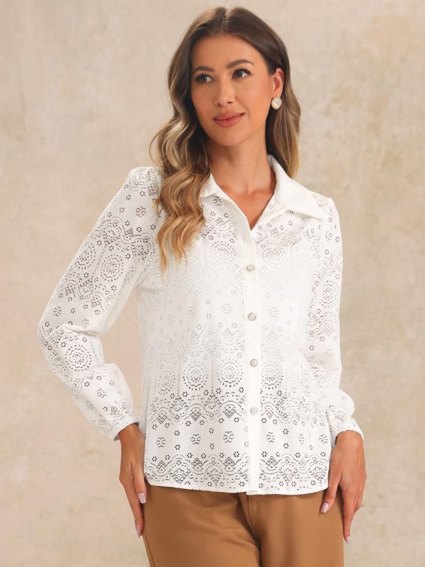Women's Elegant Eyelet Top Casual Work Long Sleeve Hallow Out Lace Sheer Button Down Shirt