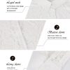 Lace-Tops for Women: Sheer Lace Long Sleeve Top, Elegant Dressy Blouse, Sheer Tops for Women