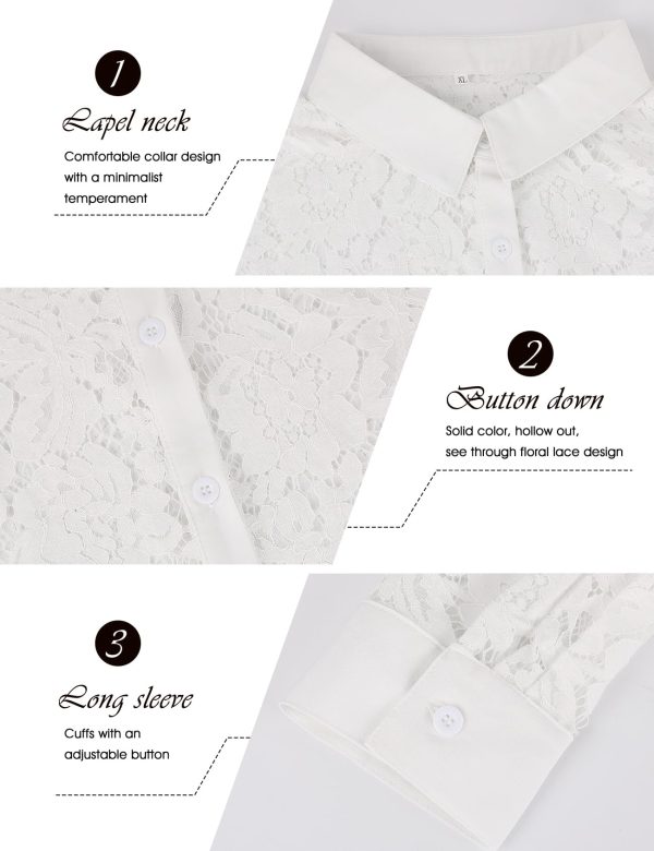Lace-Tops for Women: Sheer Lace Long Sleeve Top, Elegant Dressy Blouse, Sheer Tops for Women