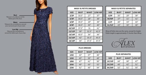 Women's Plus Size Stretch Lace Bodice Mock One Piece Gown