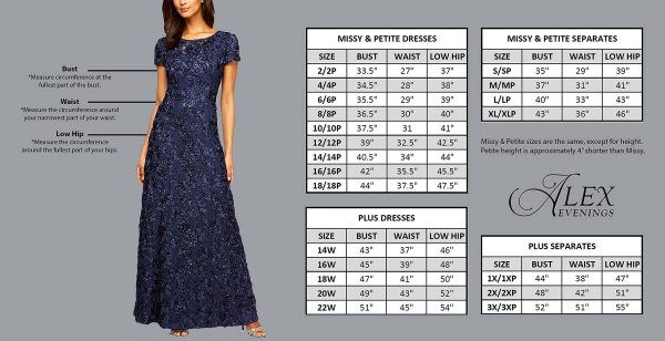 Plus Size Women's Fit and Flare Embroidered Dress