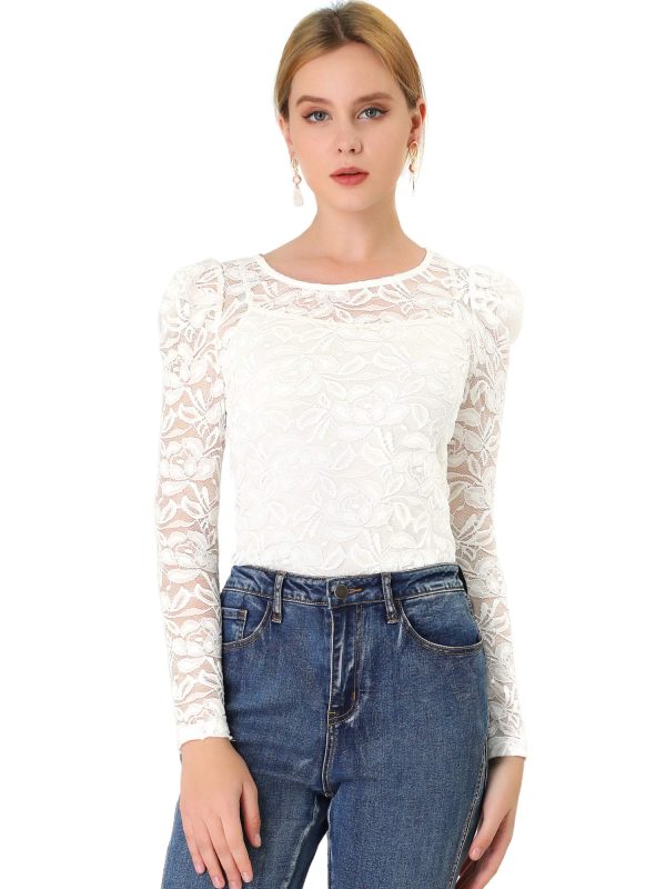 81ibEEZdGgL.jpg Women's Long Sleeve Lace Top Mesh Sheer Fitted Elegant Blouse