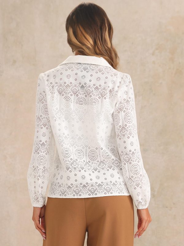 Women's Elegant Eyelet Top Casual Work Long Sleeve Hallow Out Lace Sheer Button Down Shirt